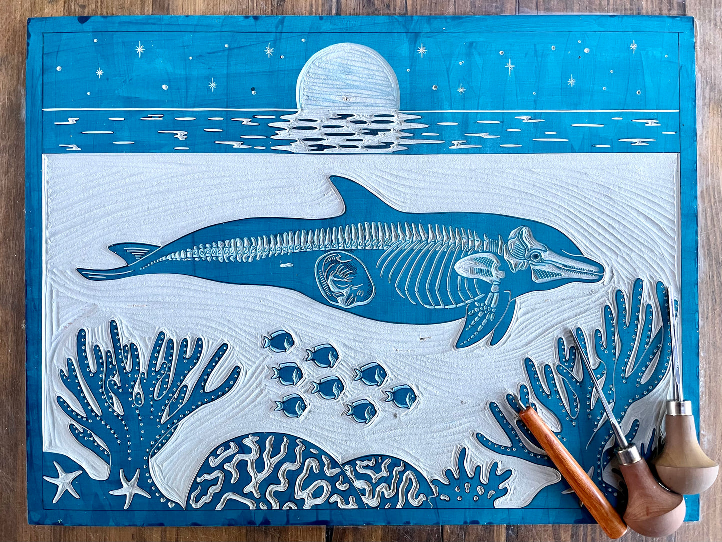 Dolphin anatomy linocut print