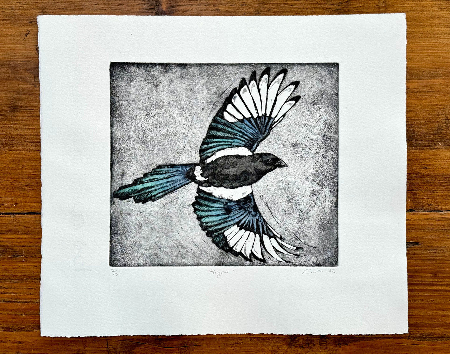 Magpie aquatint etching