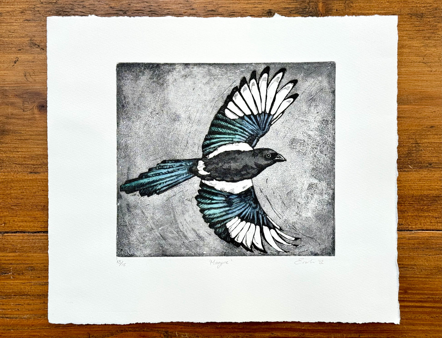 Magpie aquatint etching