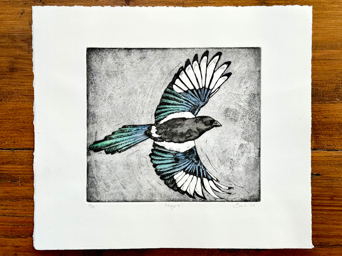 Magpie aquatint etching