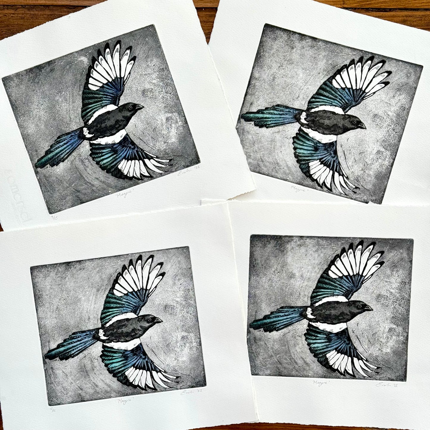 Magpie aquatint etching