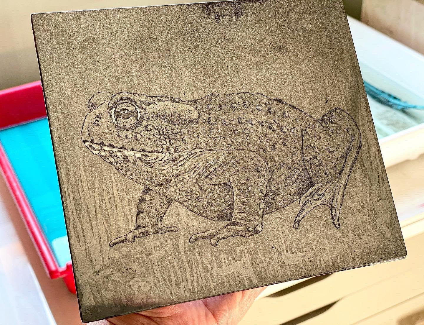 Toad aquatint etching