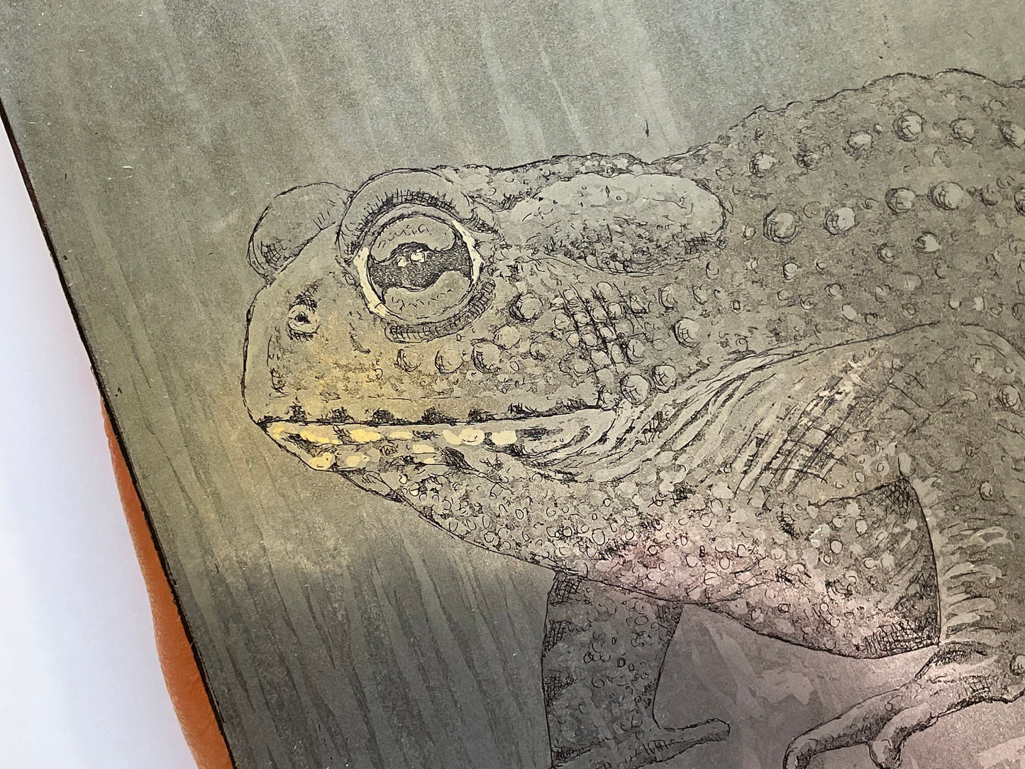 Toad aquatint etching