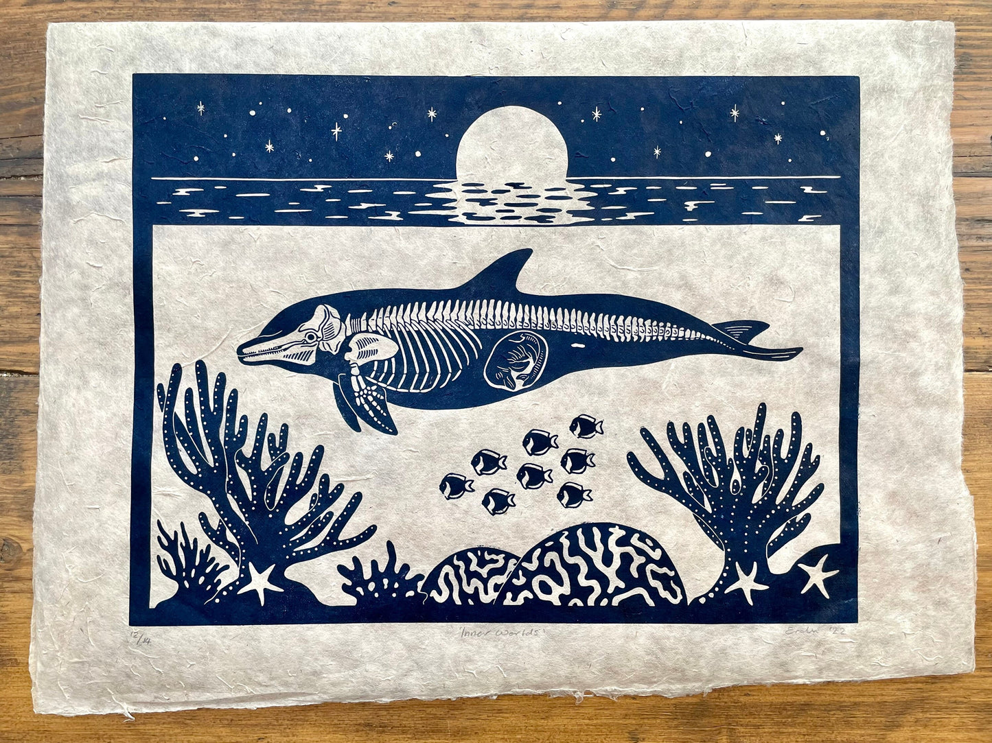 Dolphin anatomy linocut print