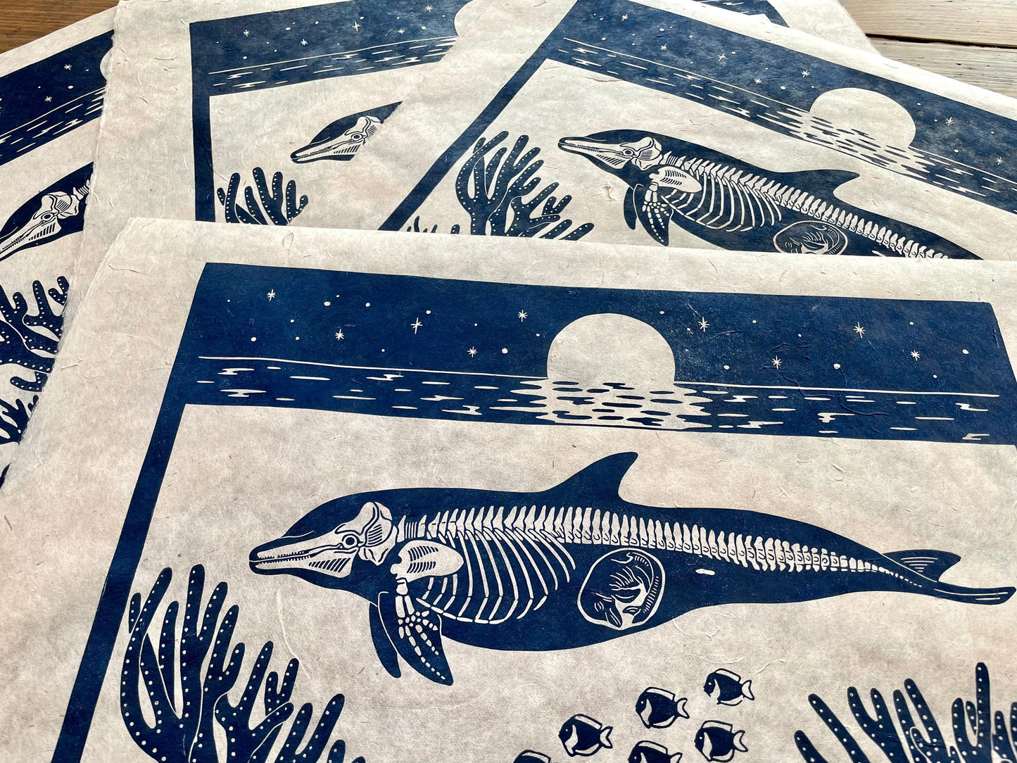Dolphin anatomy linocut print