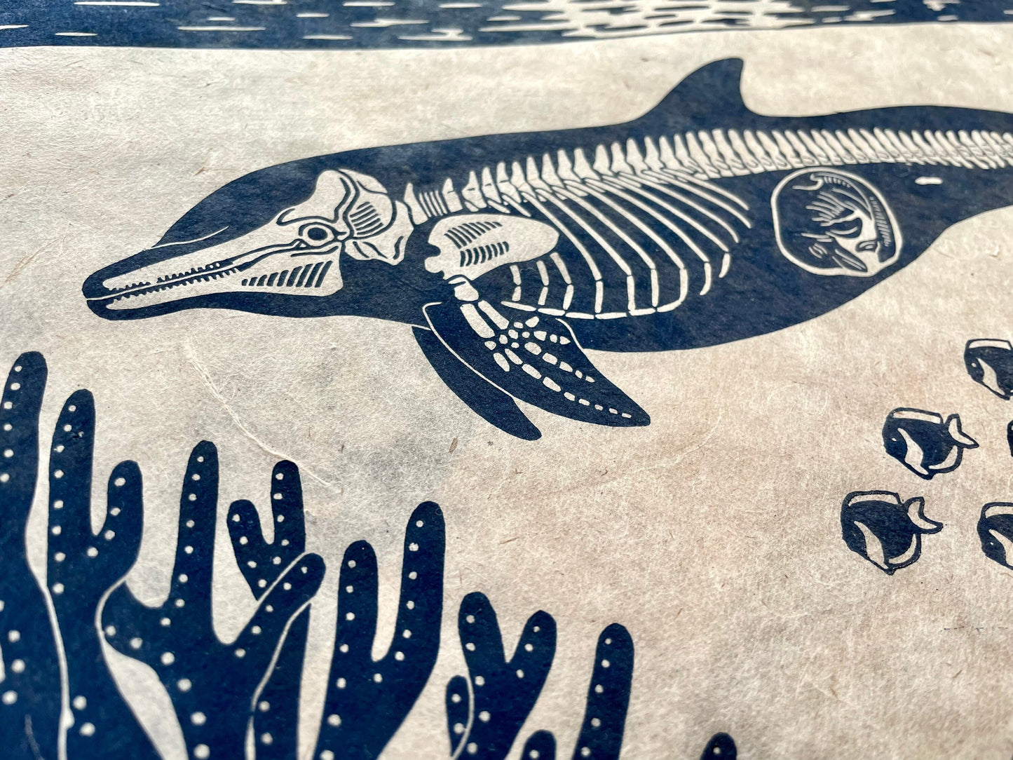 Dolphin anatomy linocut print
