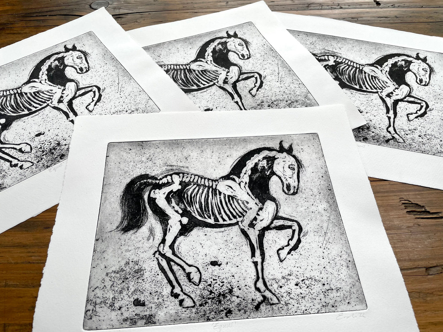 Sugar lift horse skeleton etching
