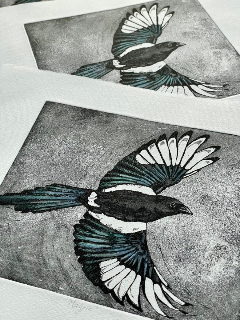 Magpie aquatint etching