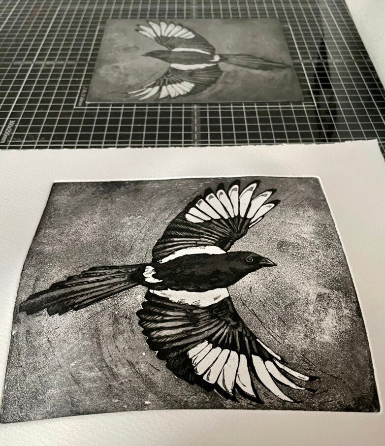 Magpie aquatint etching