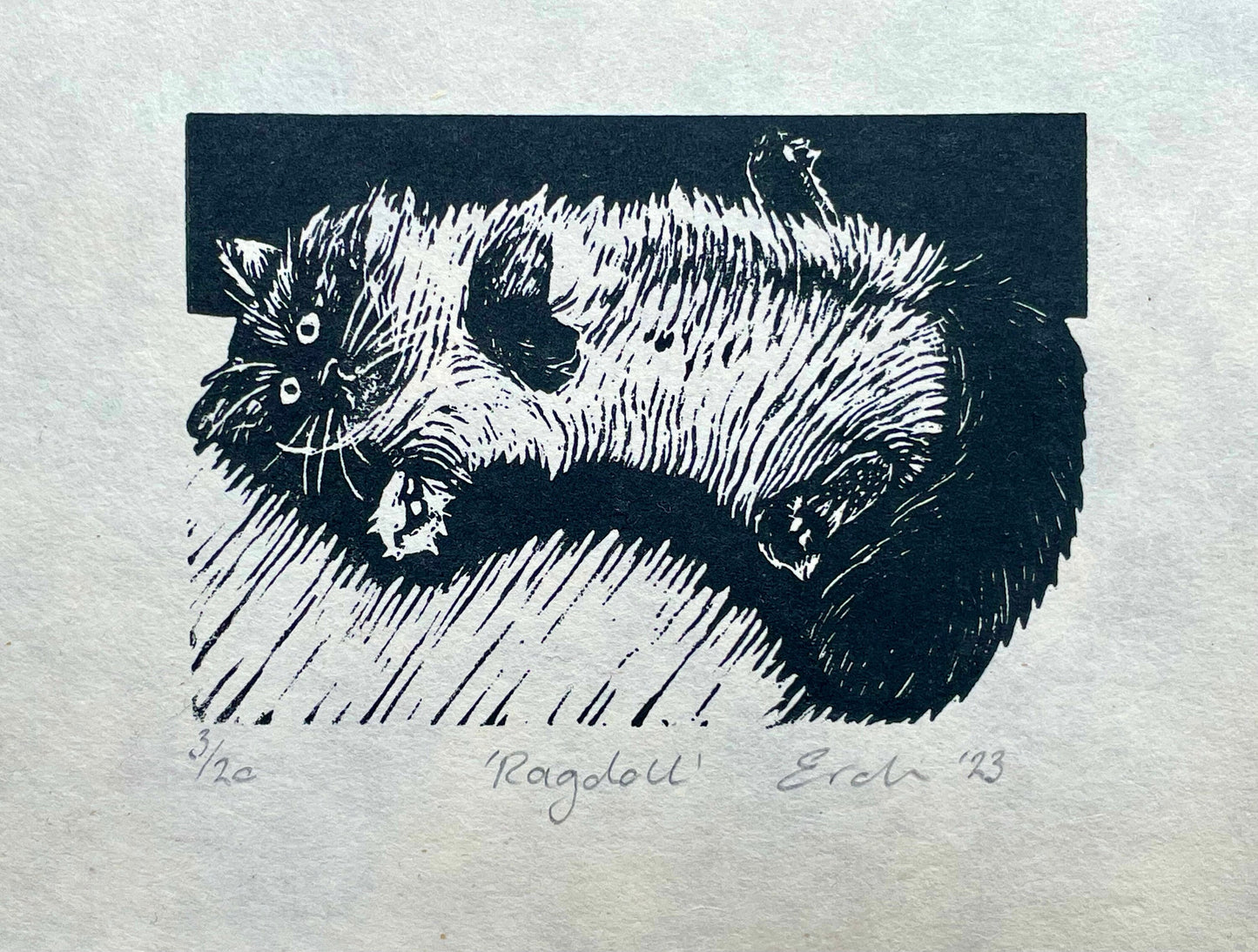 Ragdoll cat wood engraving