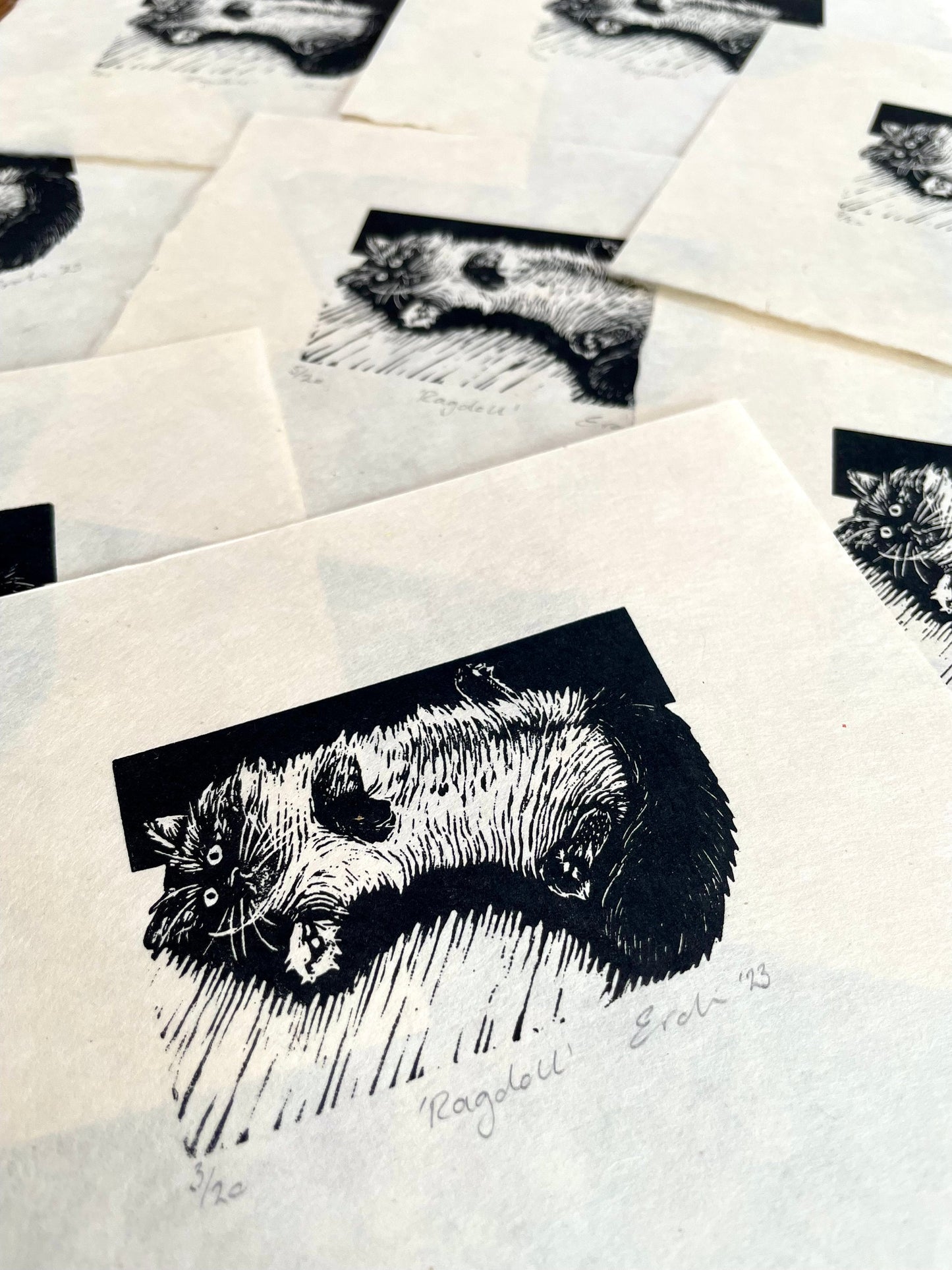 Ragdoll cat wood engraving