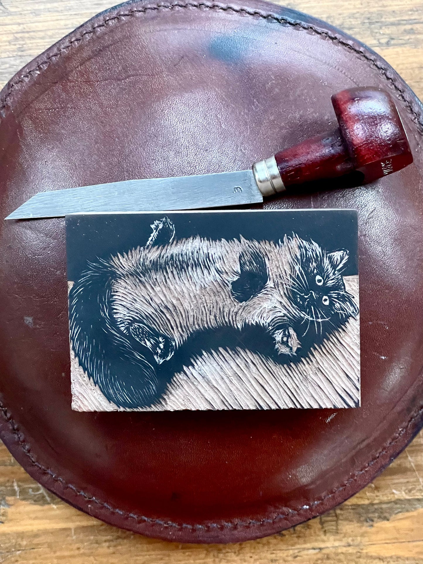Ragdoll cat wood engraving