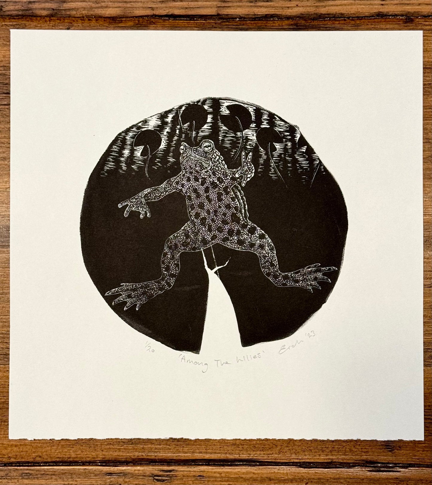 toad wood engraving