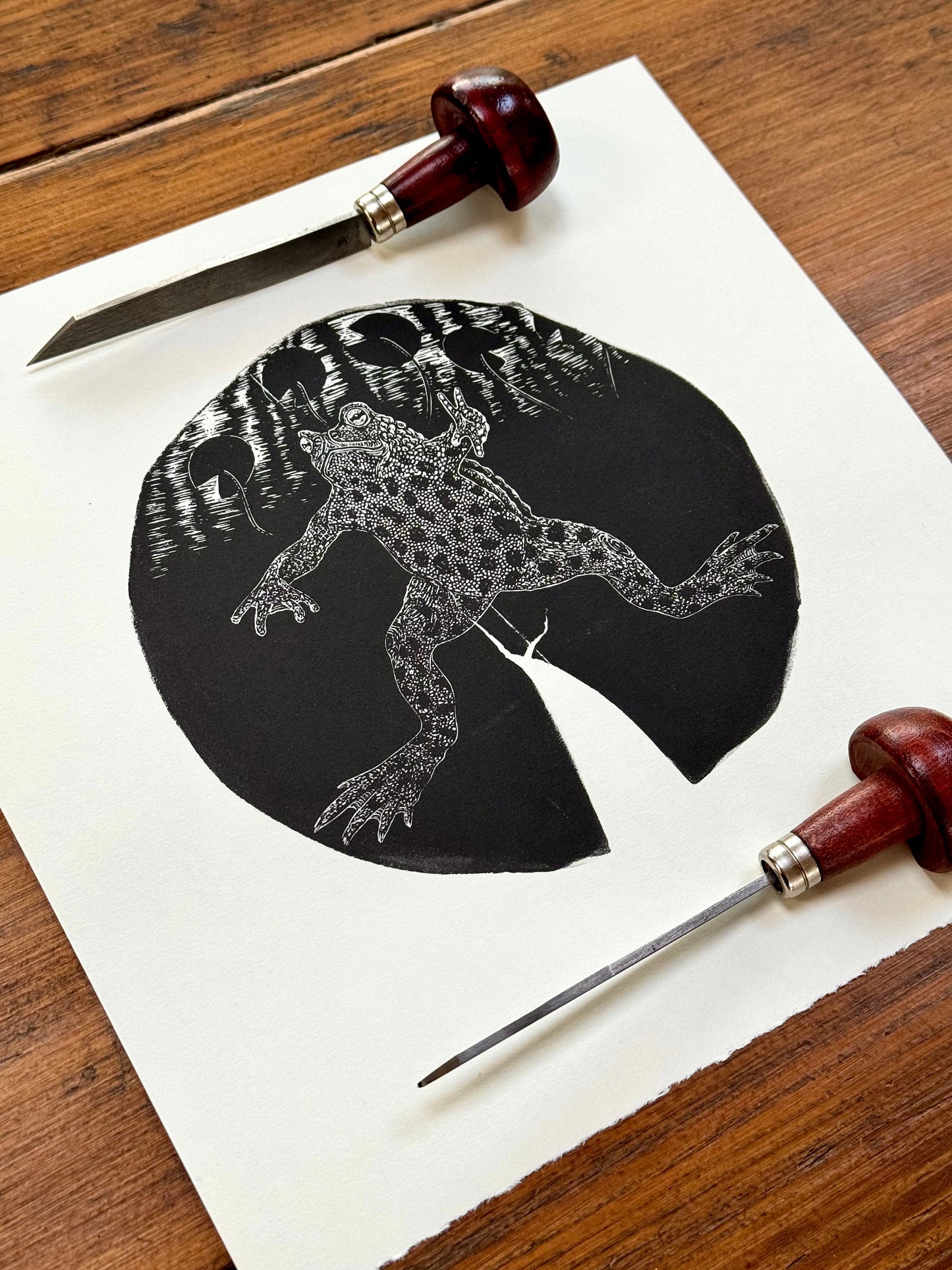 Among The Lilies - toad wood engraving