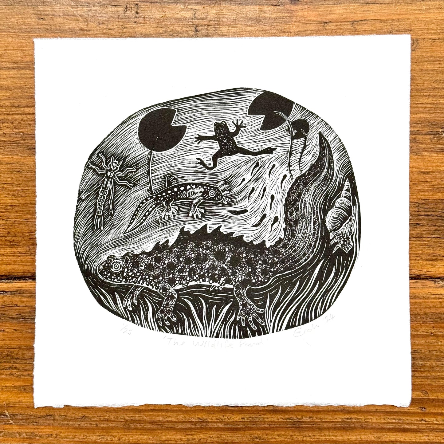 The Wildlife Pond - wood engraving