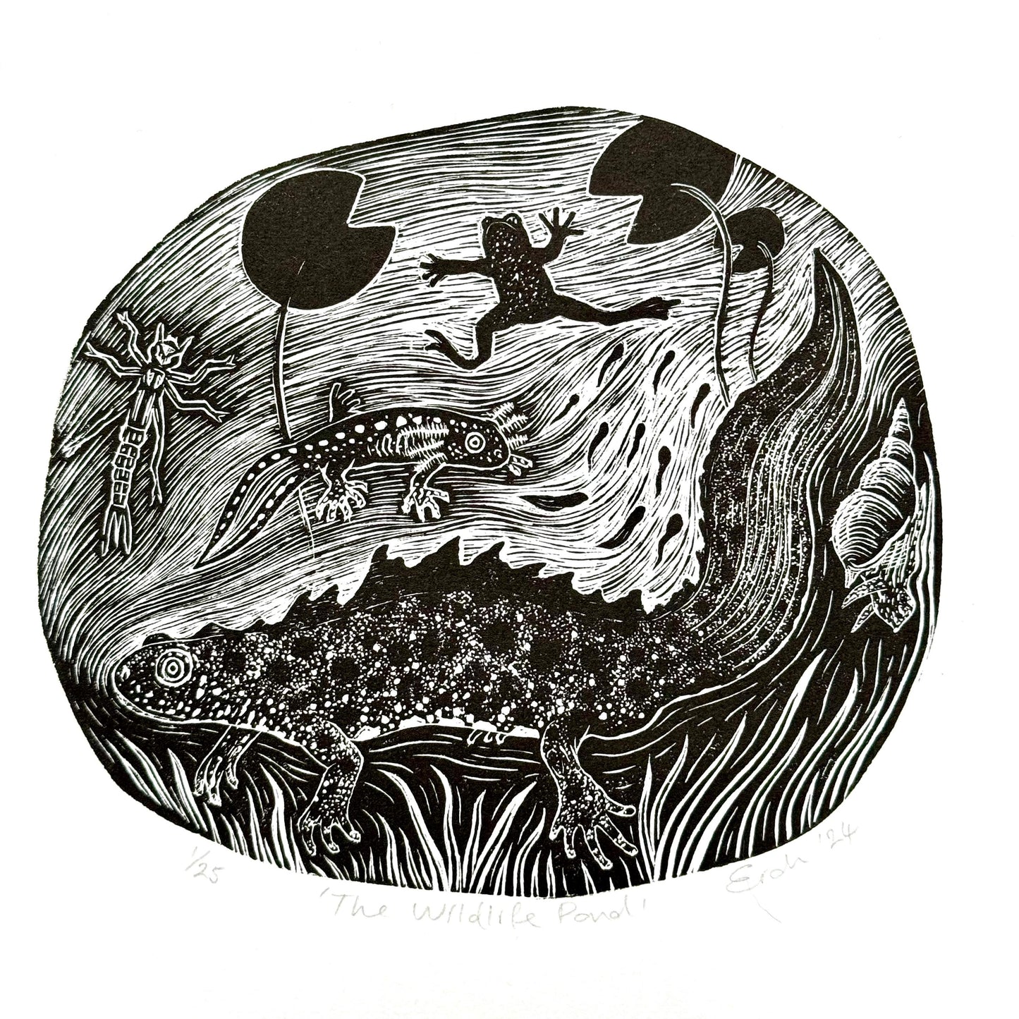 The Wildlife Pond - wood engraving