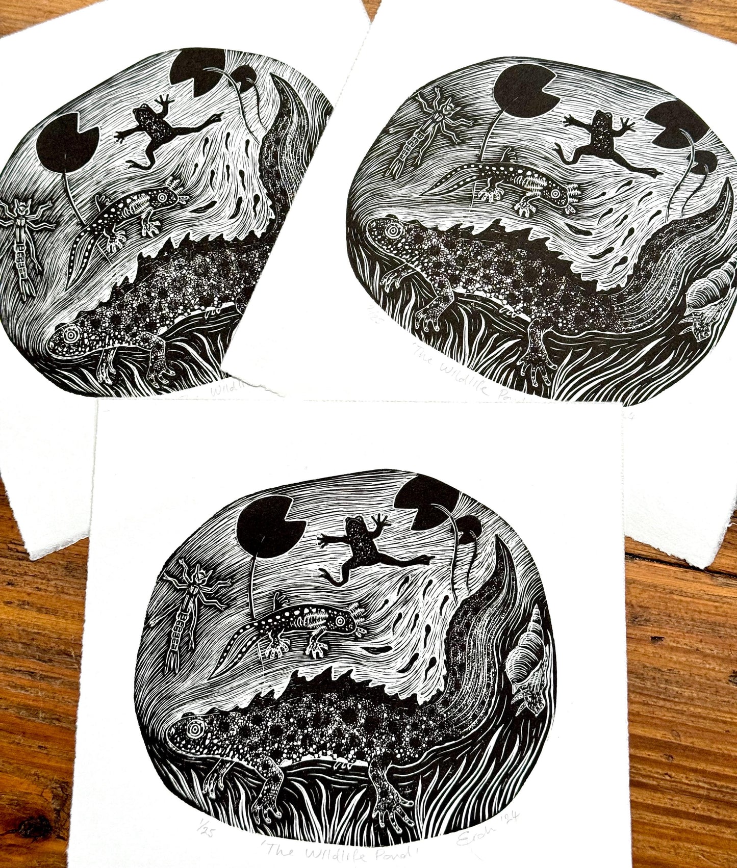 The Wildlife Pond - wood engraving