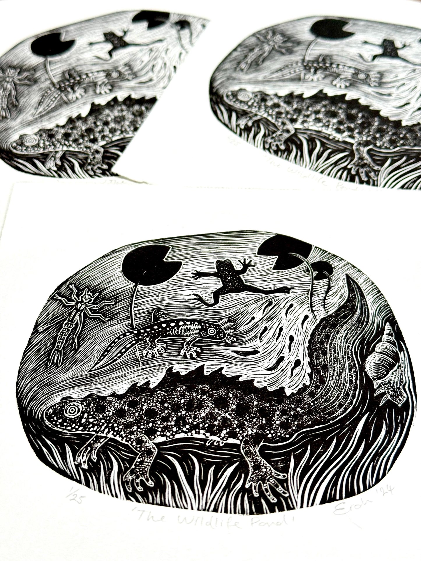 The Wildlife Pond - wood engraving