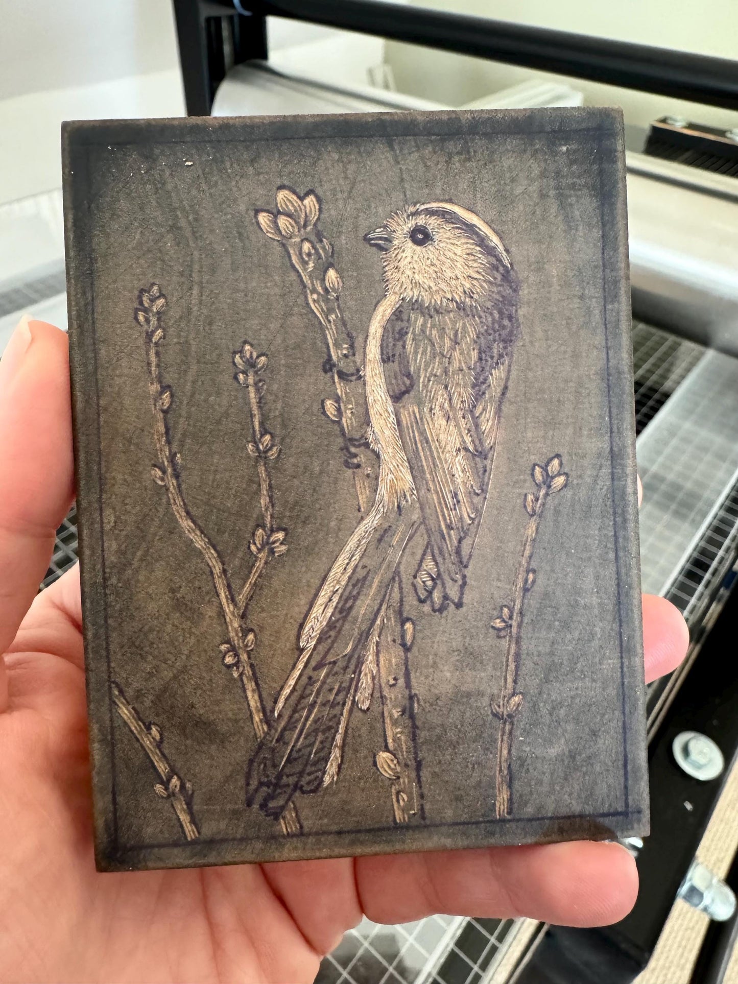 Long-tailed Tit - wood engraving