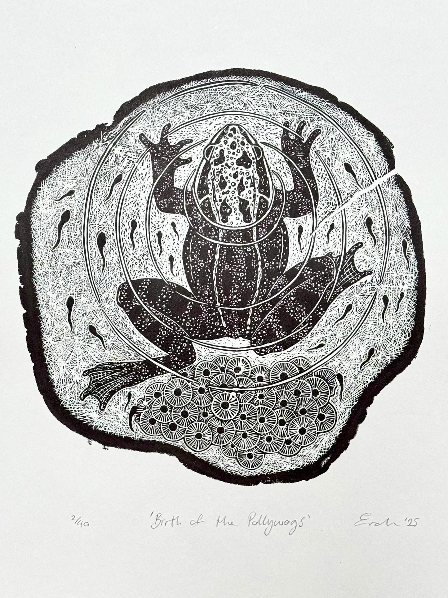 Frog wood engraving