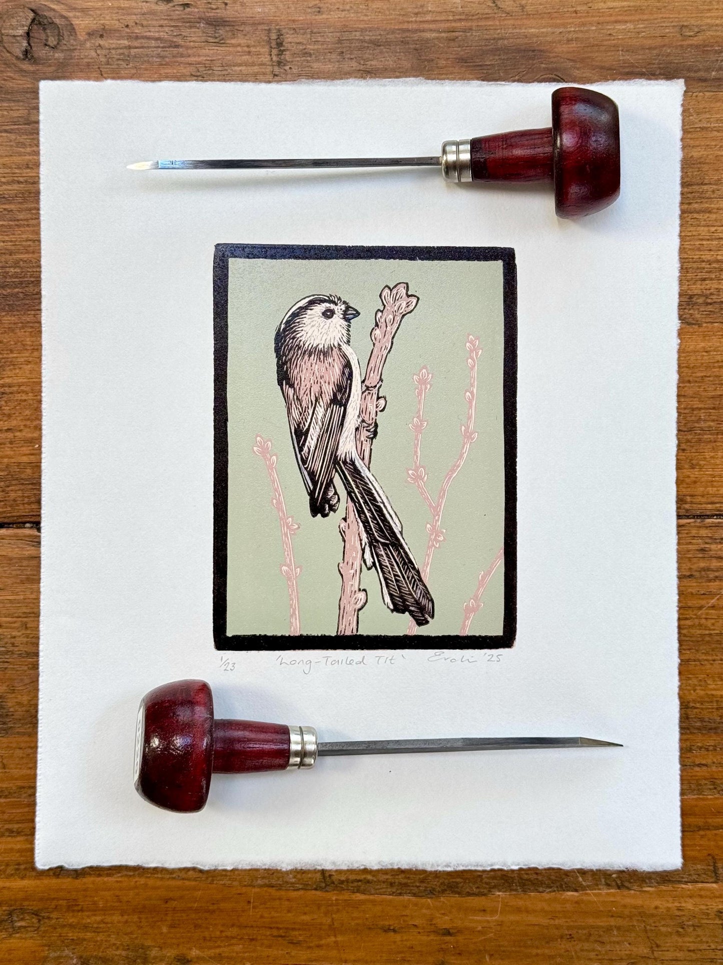 Long-tailed Tit - wood engraving