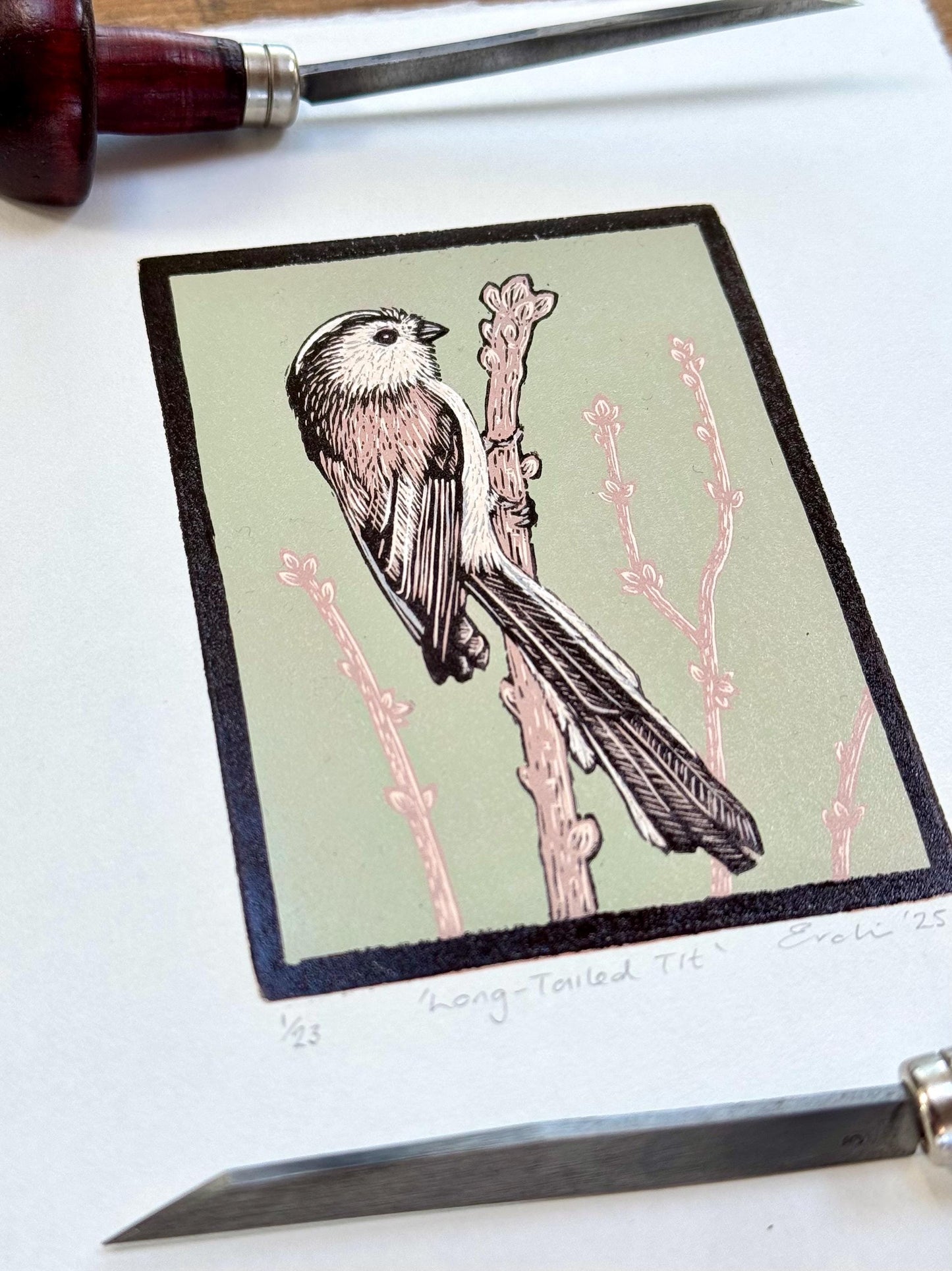 Long-tailed Tit - wood engraving