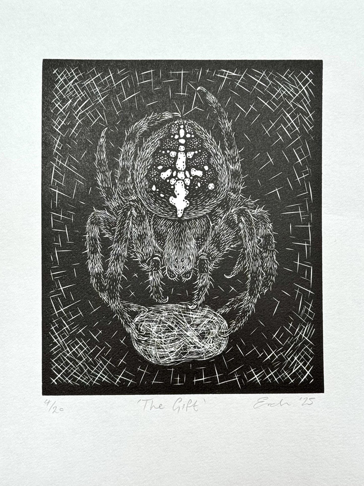 Original wood engraving print of a spider and fly
