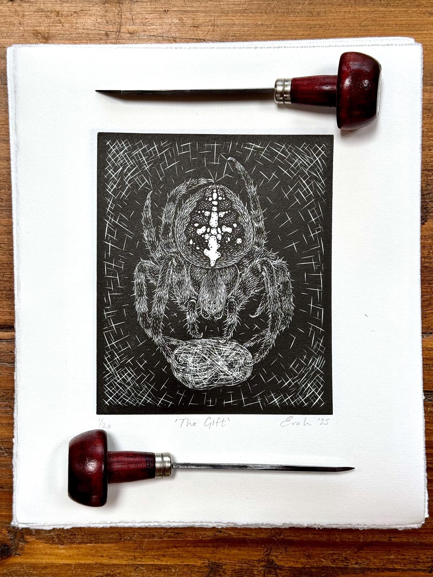 Original wood engraving print of a spider and fly
