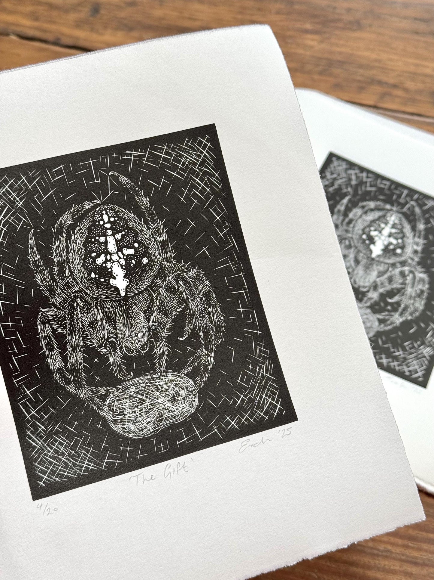 Original wood engraving print of a spider and fly