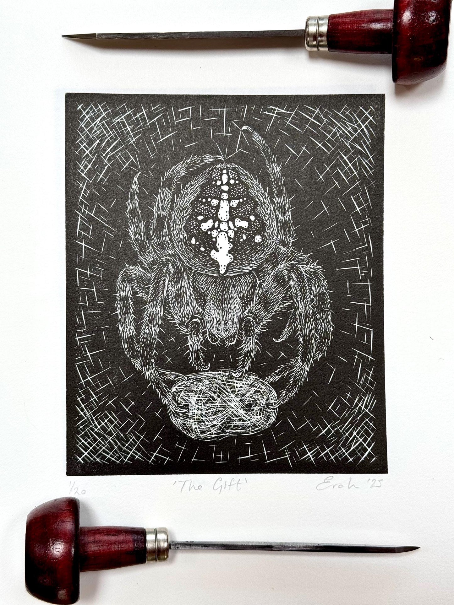 Original wood engraving print of a spider and fly