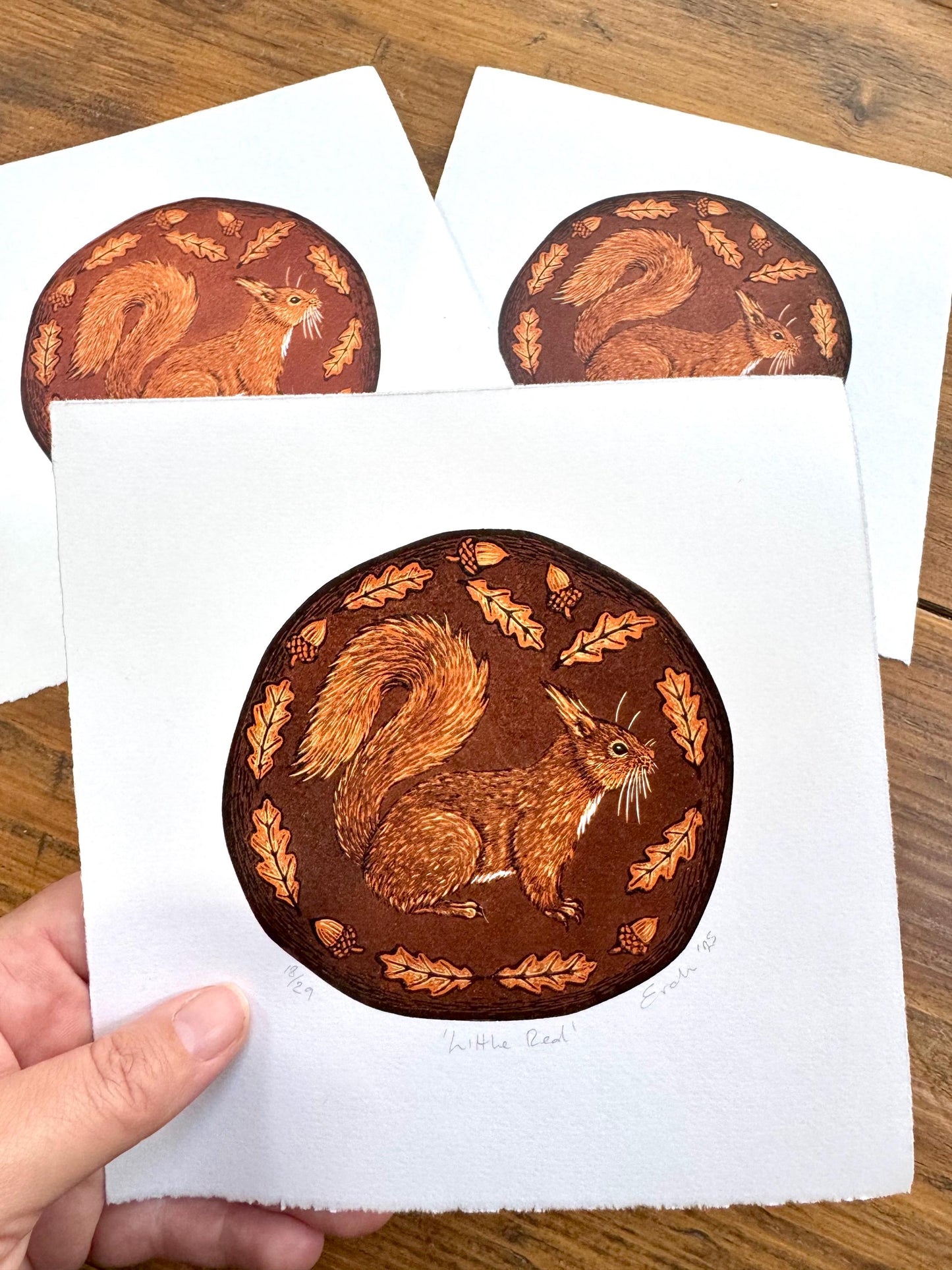 Red squirrel - hand printed original wood engraving