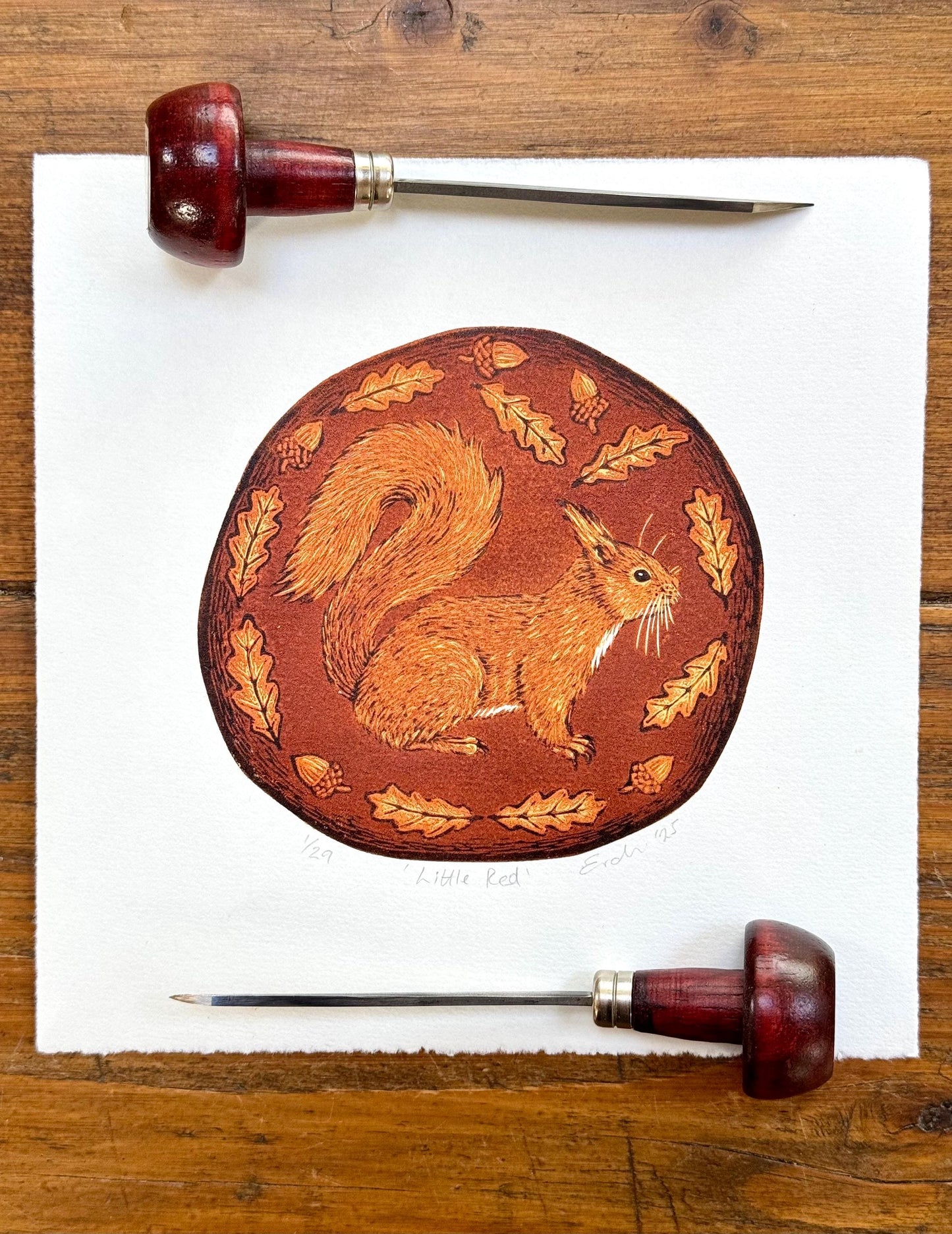 Red squirrel - hand printed original wood engraving