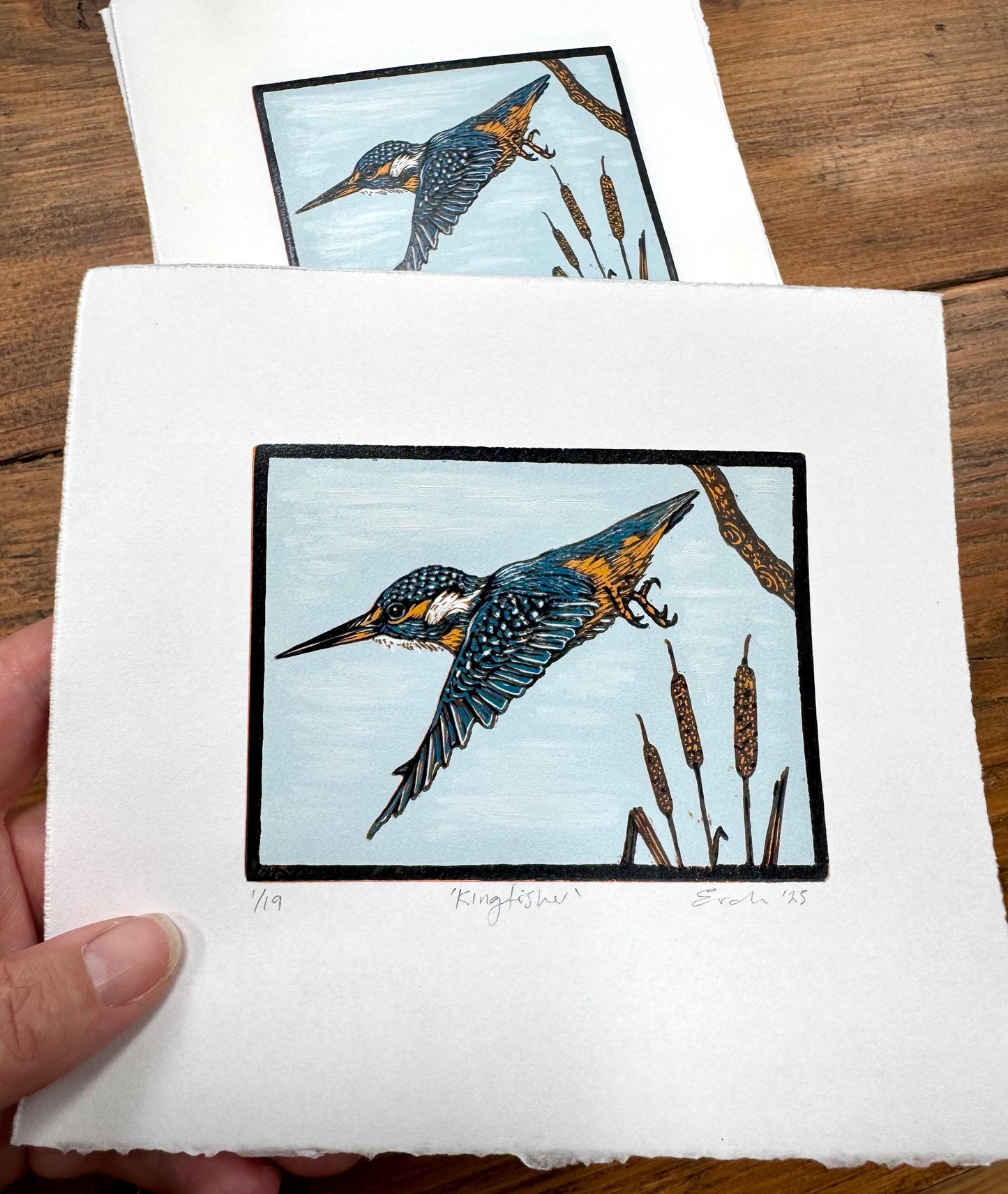 Kingfisher - hand printed original wood engraving