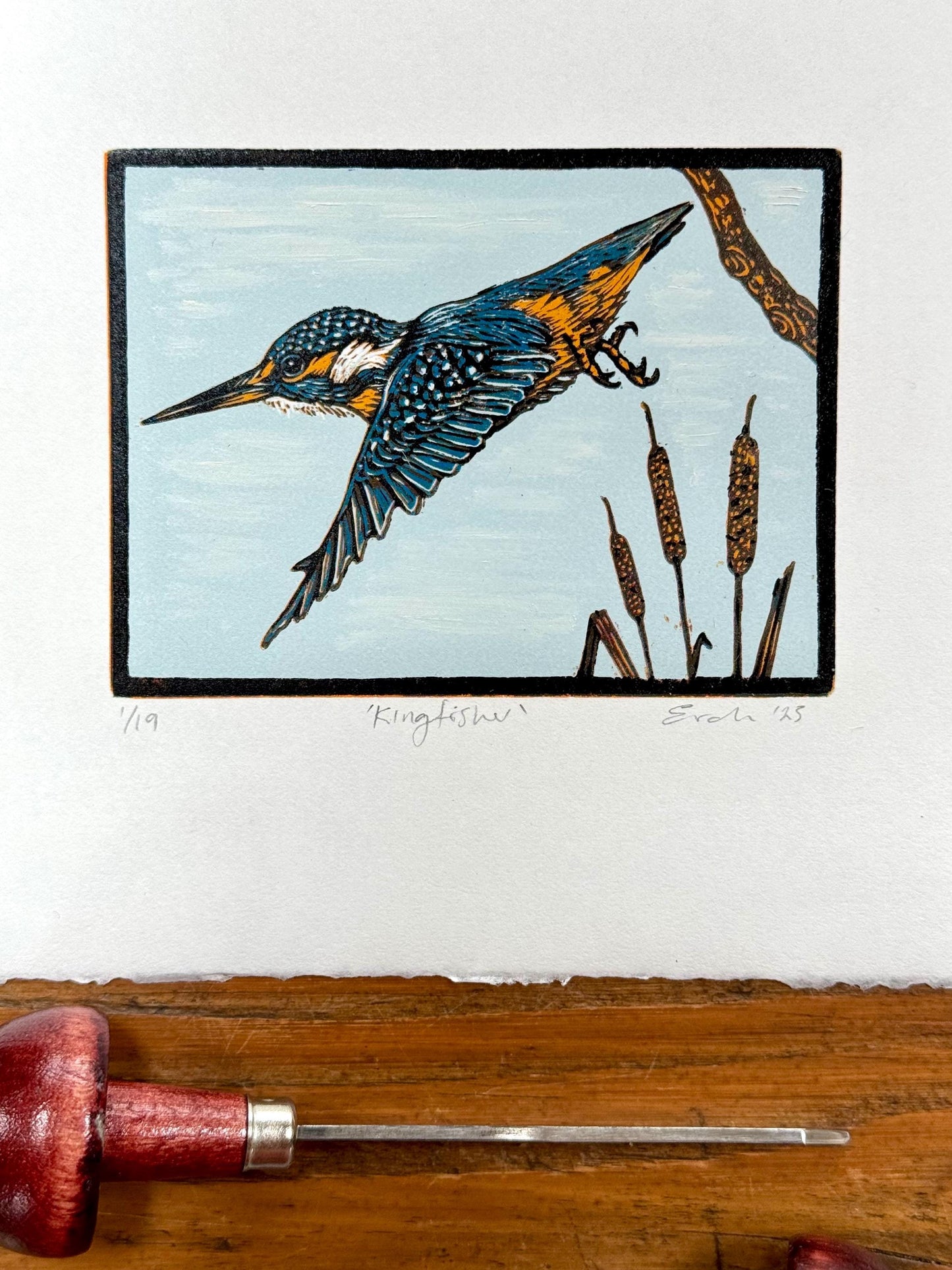 Kingfisher - hand printed original wood engraving