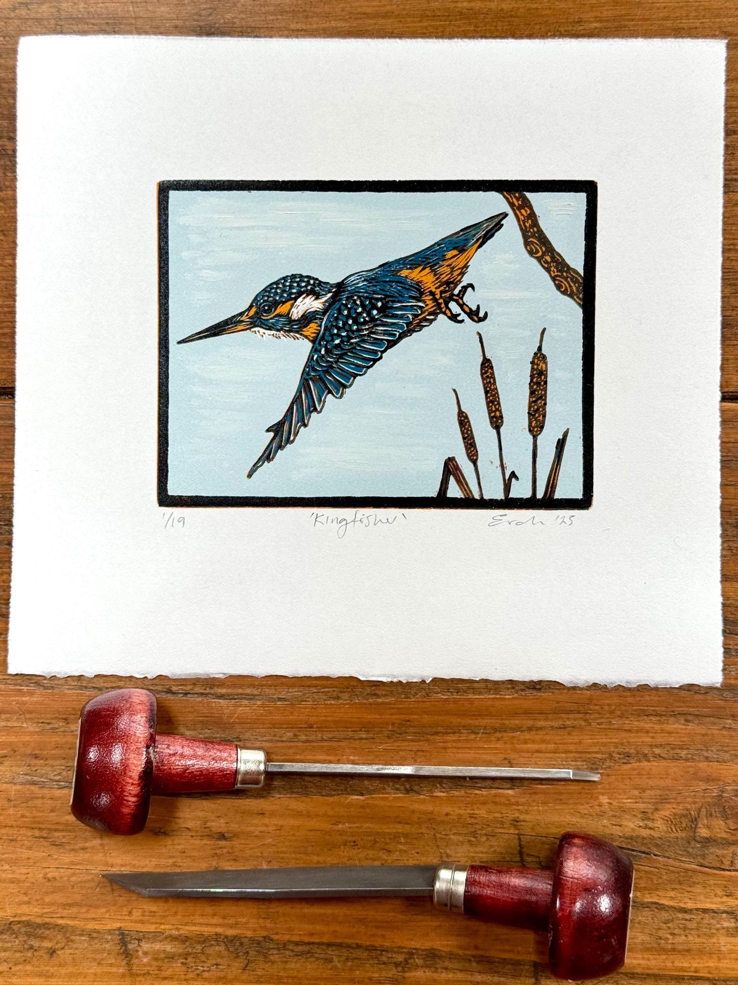Kingfisher - hand printed original wood engraving