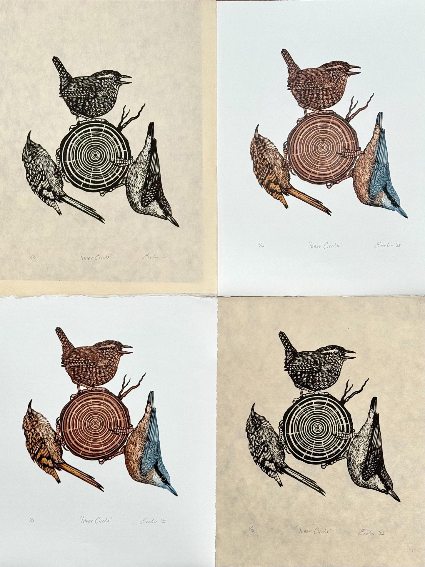 Inner Circle - original linocut print of birds (colour)