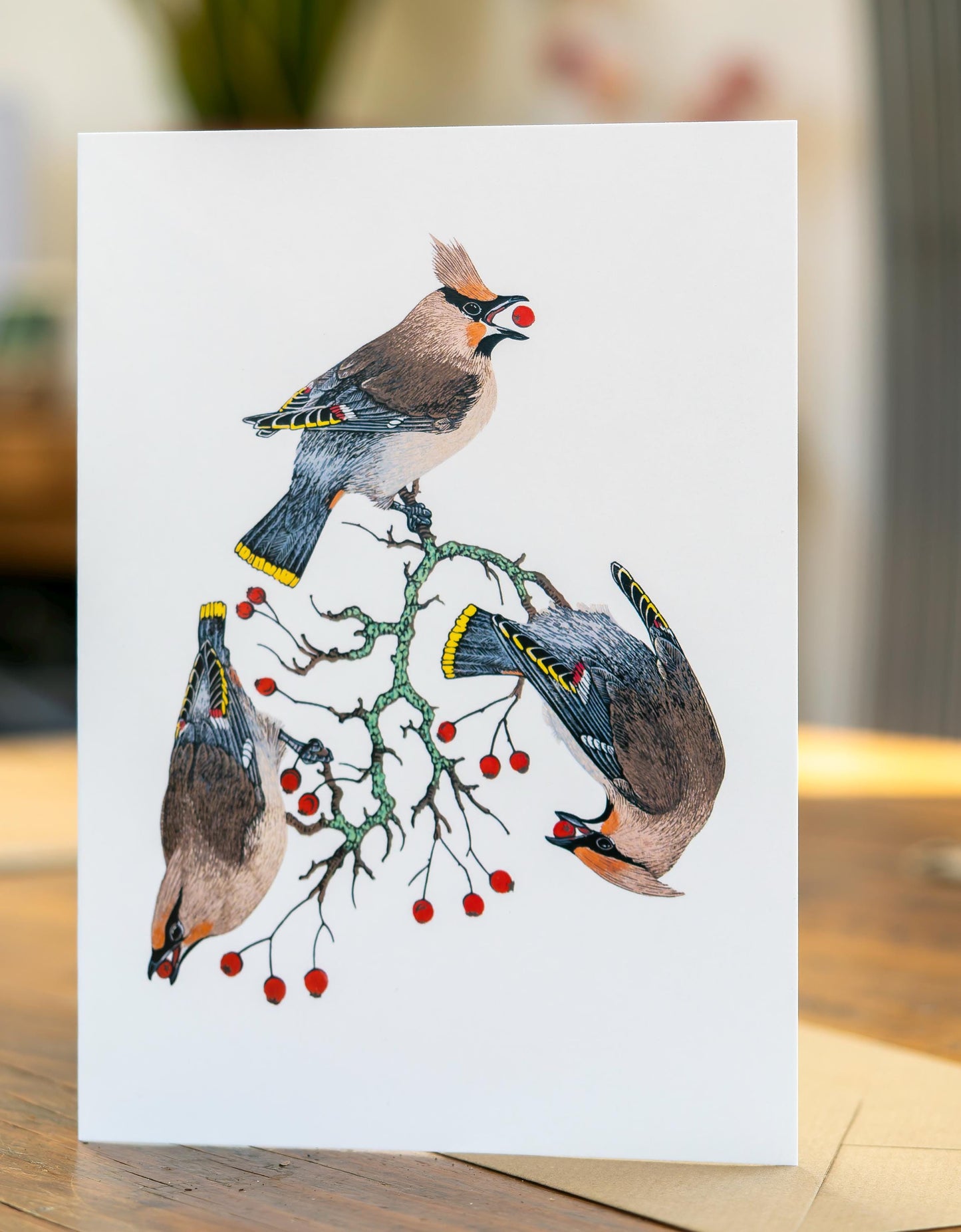 Waxwing cards x4