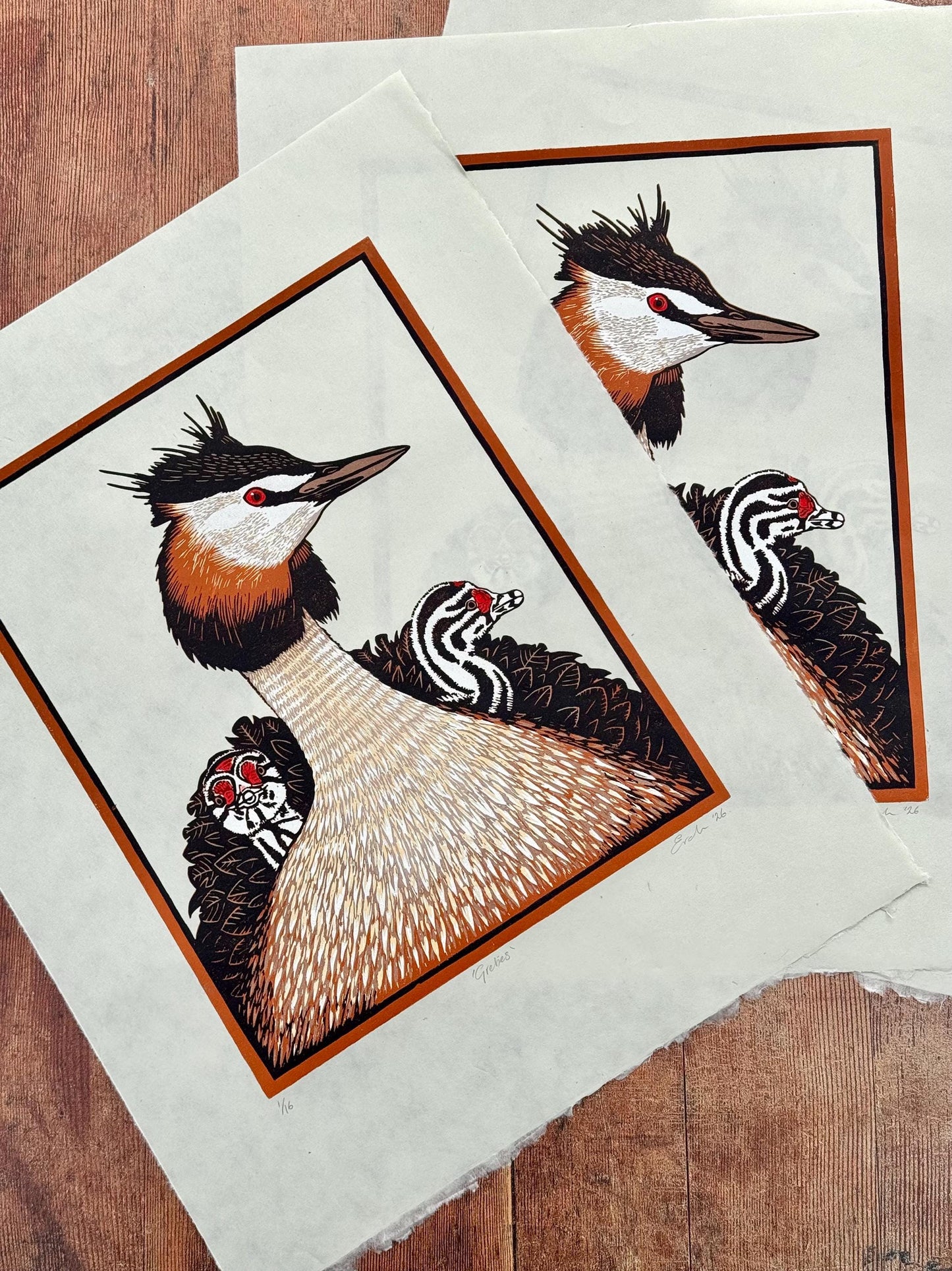 Grebes - original linocut print of great crested grebes