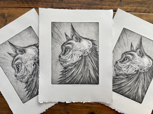 The making of 'Memento Mori' cat skull etching