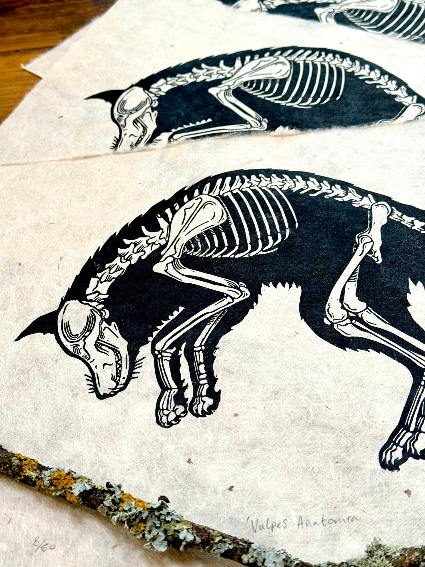 Fox anatomy linocut print