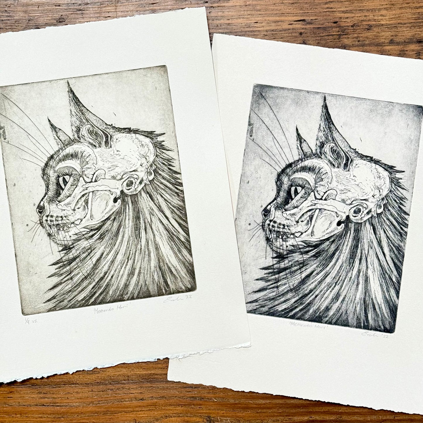 Cat skull aquatint etching