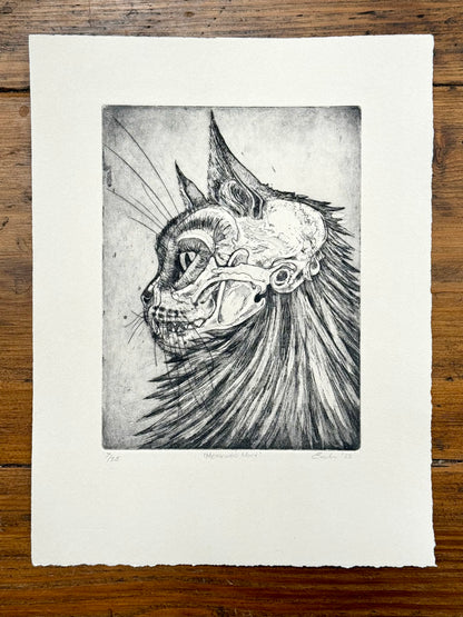 Cat skull aquatint etching