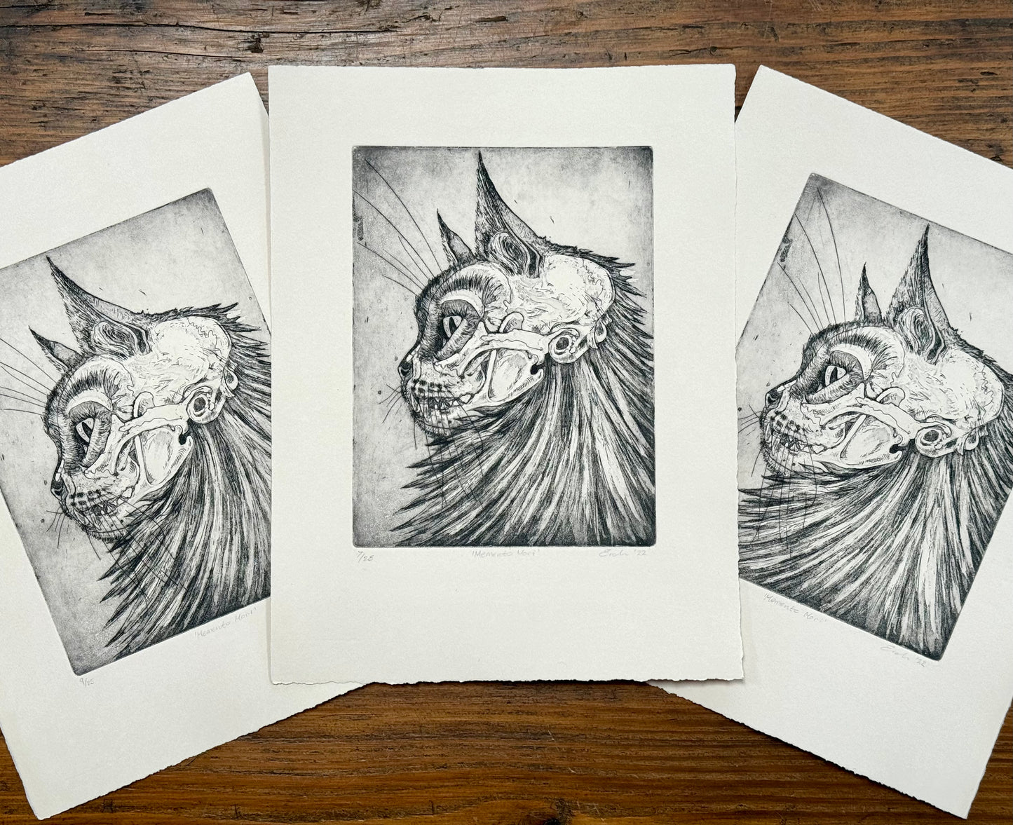 Cat skull aquatint etching