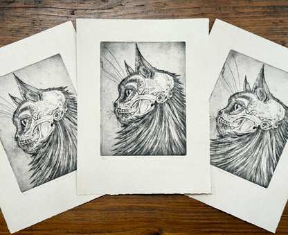 Cat skull aquatint etching