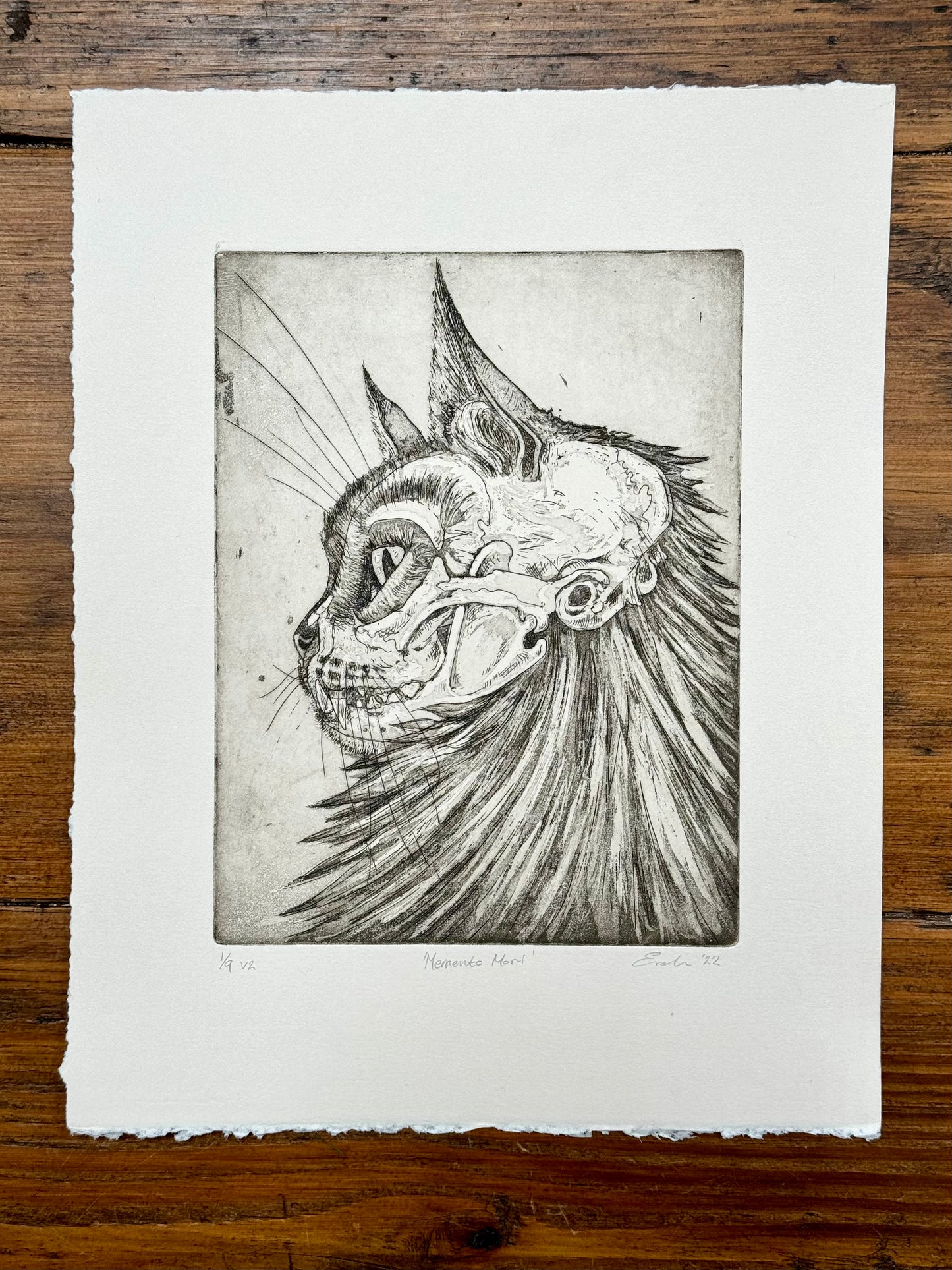 Cat skull aquatint etching