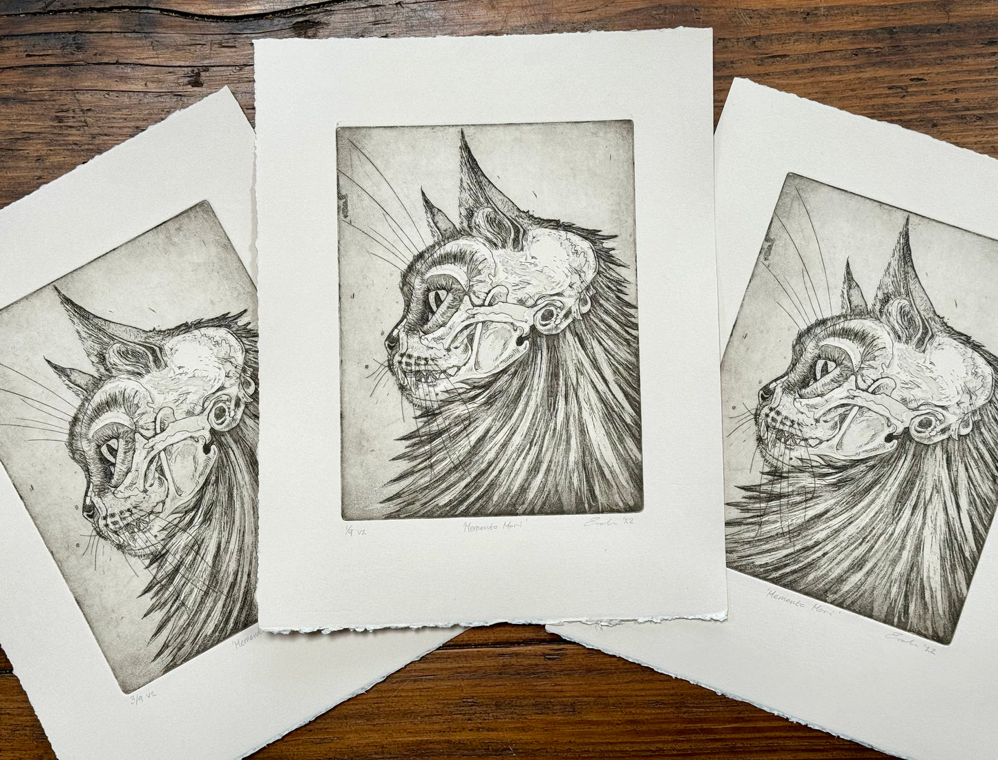 Cat skull aquatint etching