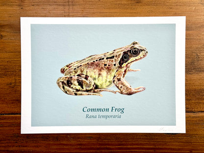 Frog and Toad drawings - Giclée prints