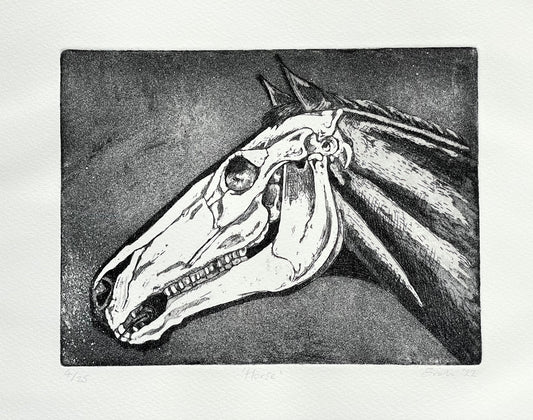 Horse skull etching