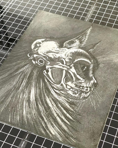 Cat skull aquatint etching