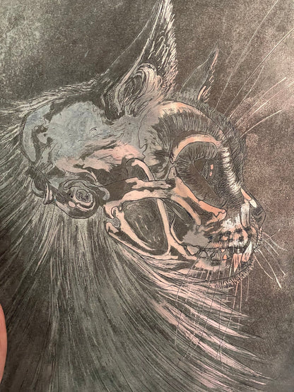 Cat skull aquatint etching